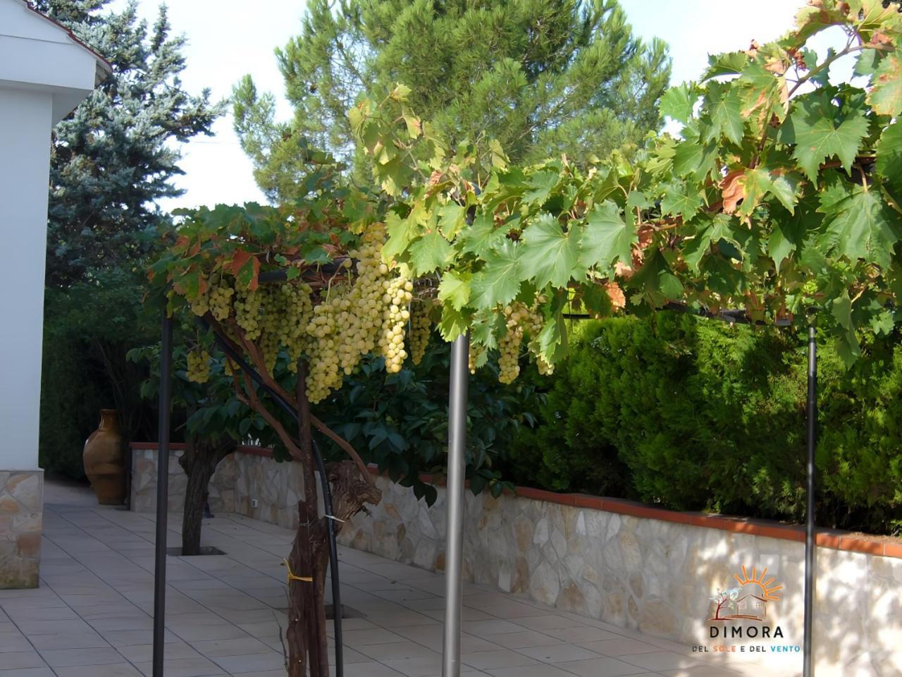 Dimora Del Sole E Del Vento Apartment Crispiano Exterior photo